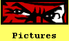  Pictures 